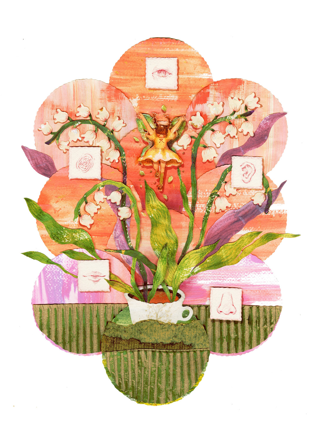 illoboom Entry 2026